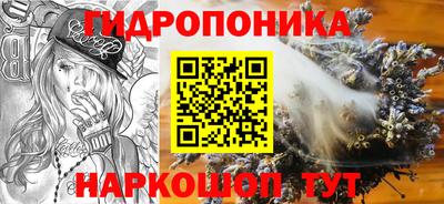крисы Тара