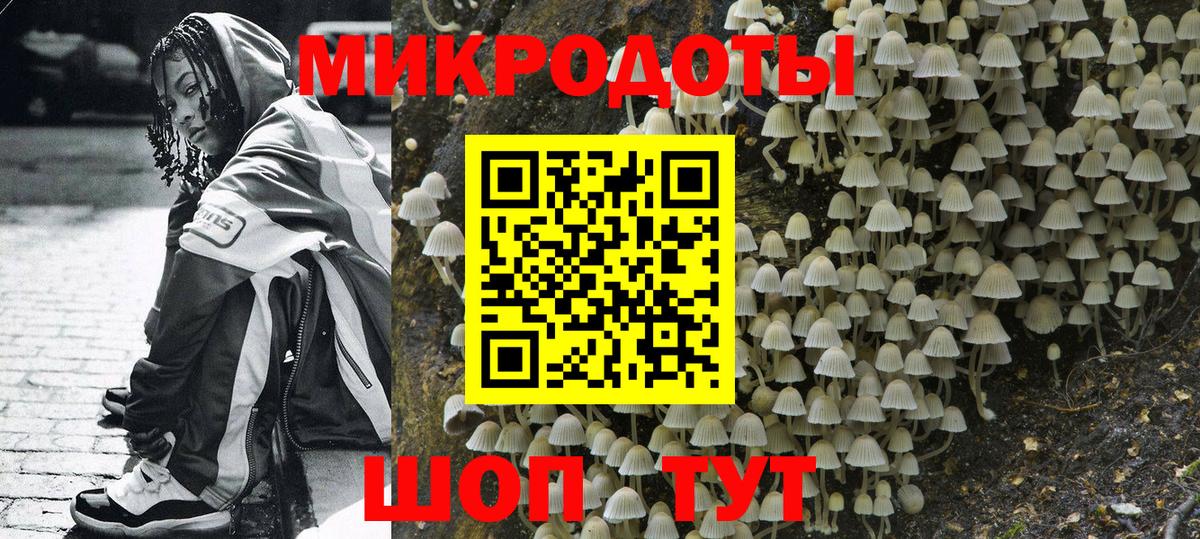 Псилоцибиновые грибы Psilocybe Нарткала