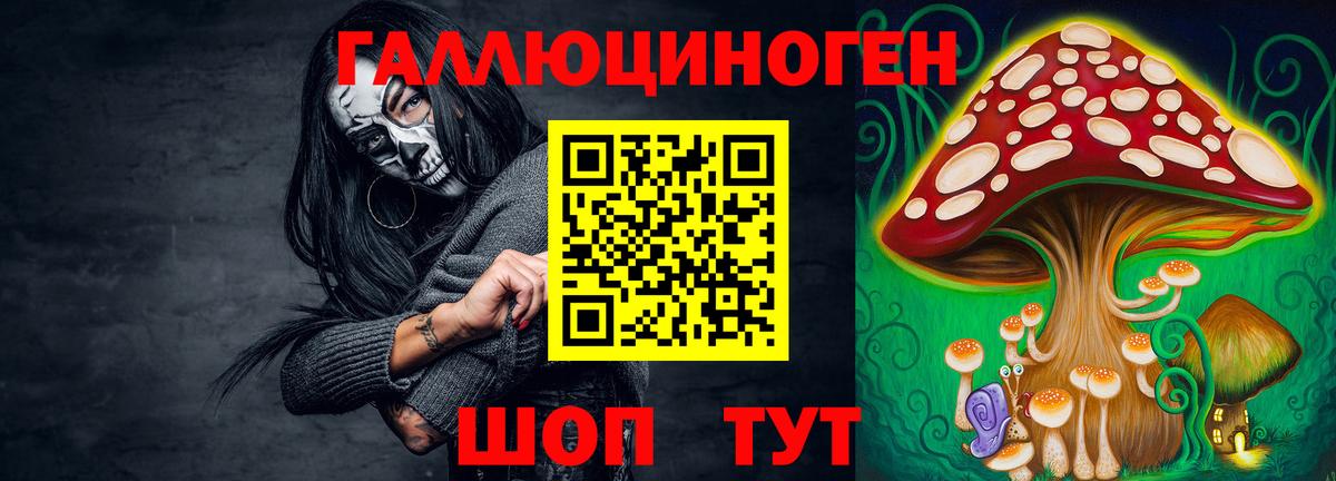 Галлюциногенные грибы Psilocybine cubensis  Вход с VPN  Нарткала 